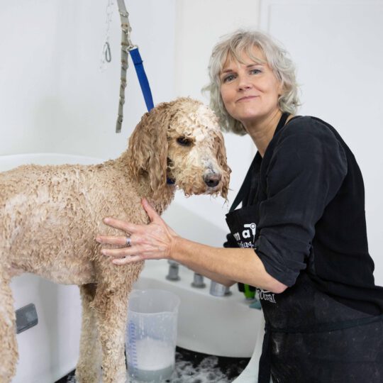 Hundesalon Schöne Bescherung